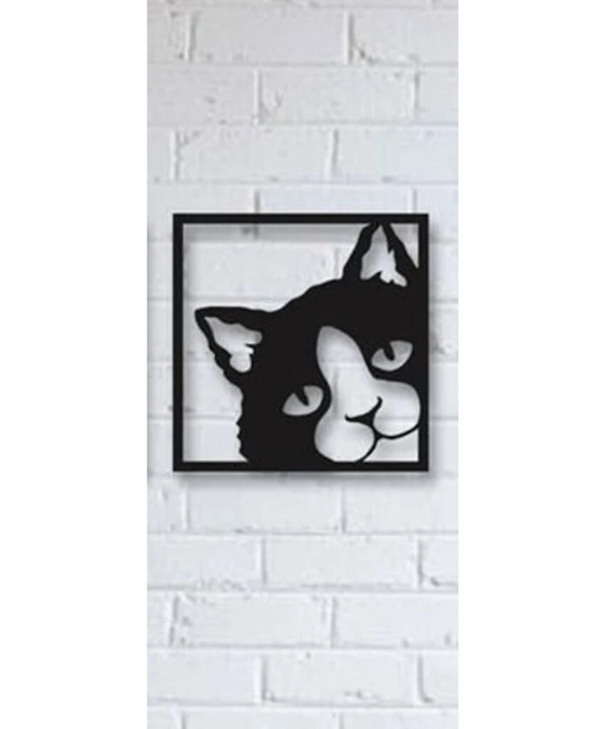 Gatito dca3 851x1024 - Gatito dca3