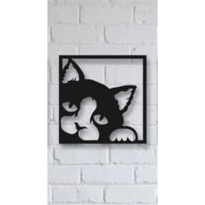 Gatito iza3