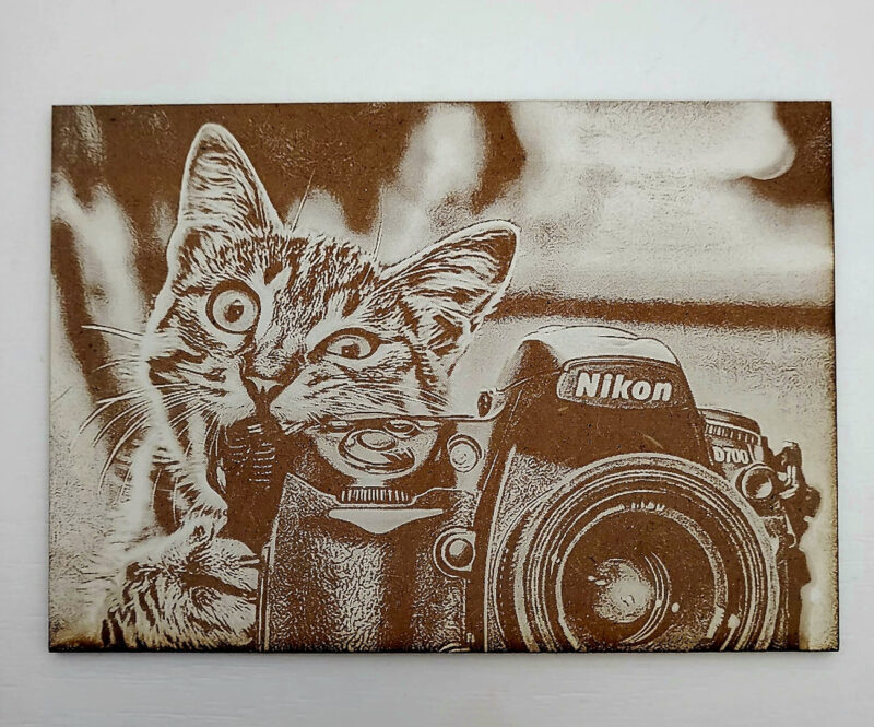 Gatito con camara 800x665 - Gato con cámara