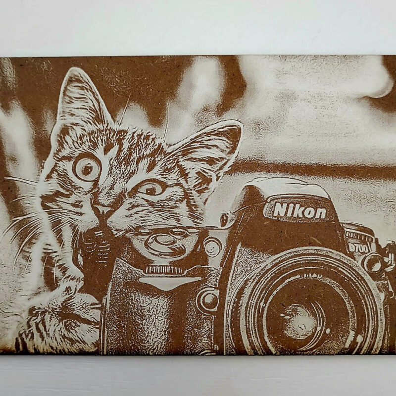Gatito con camara 800x800 - Gato con cámara