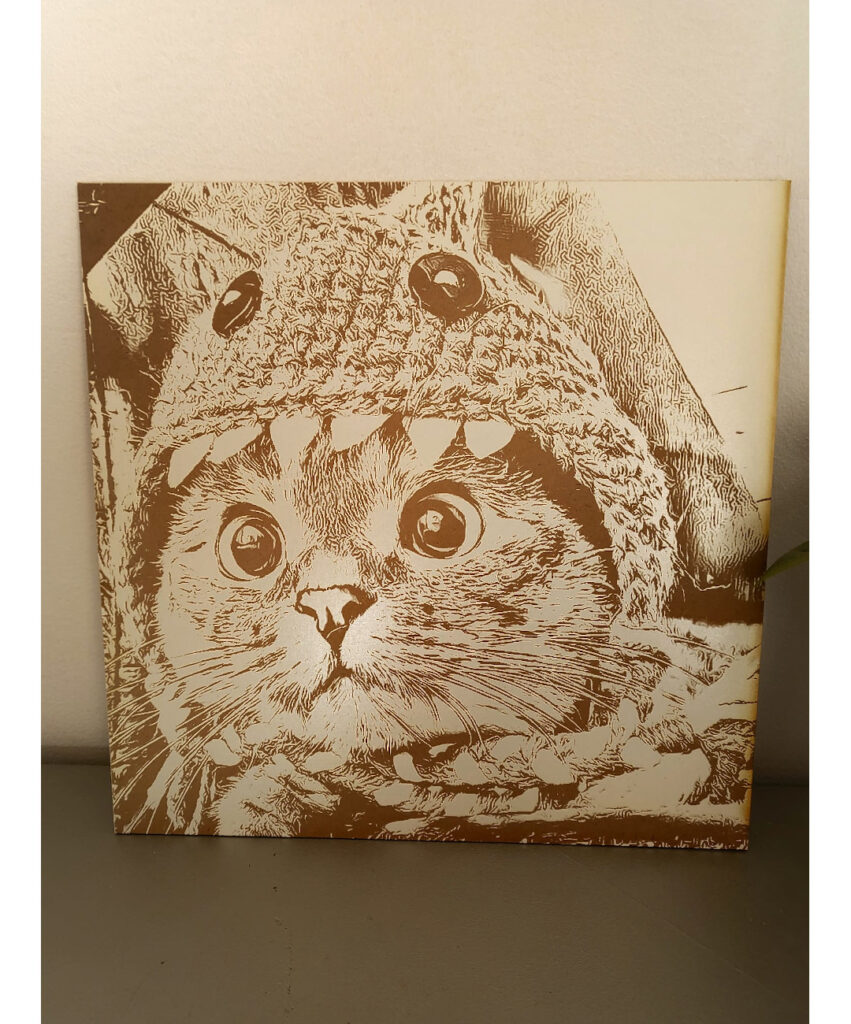 Gatito con disfraz 851x1024 - Gatito disfrazado
