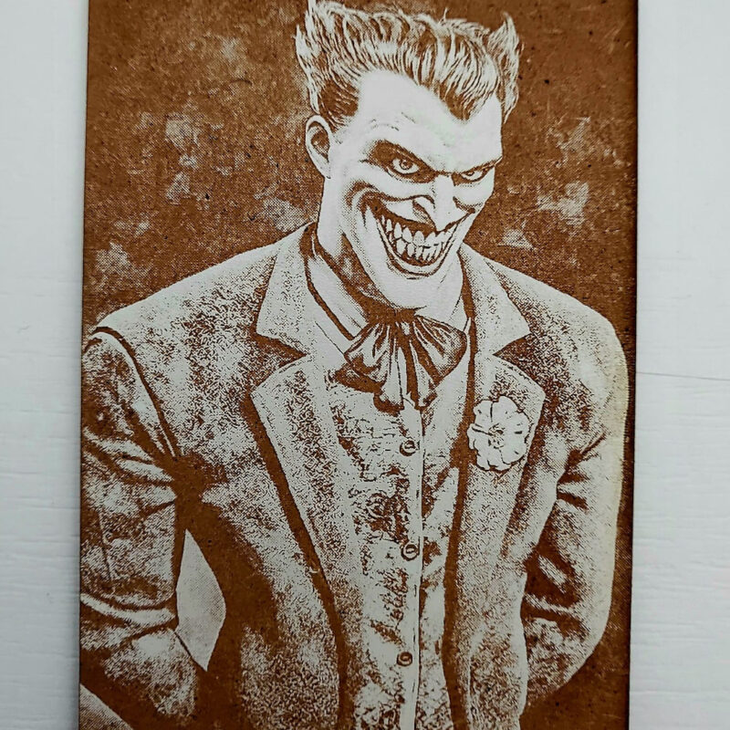 Joker 1 800x800 - Gatito disfrazado
