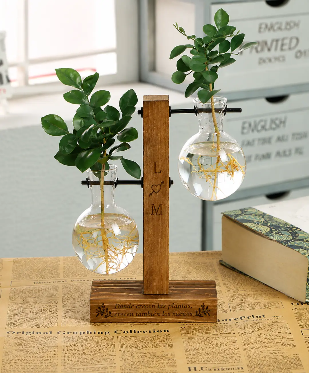 Terrario hidropónico personalizado con soporte de madera